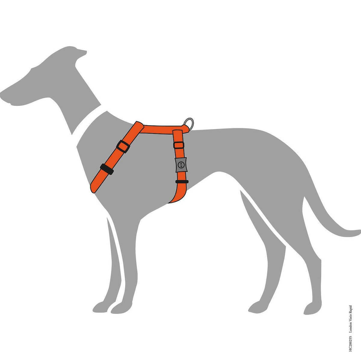 Harness London VR 22-36/XXS (Polyester, orange)
