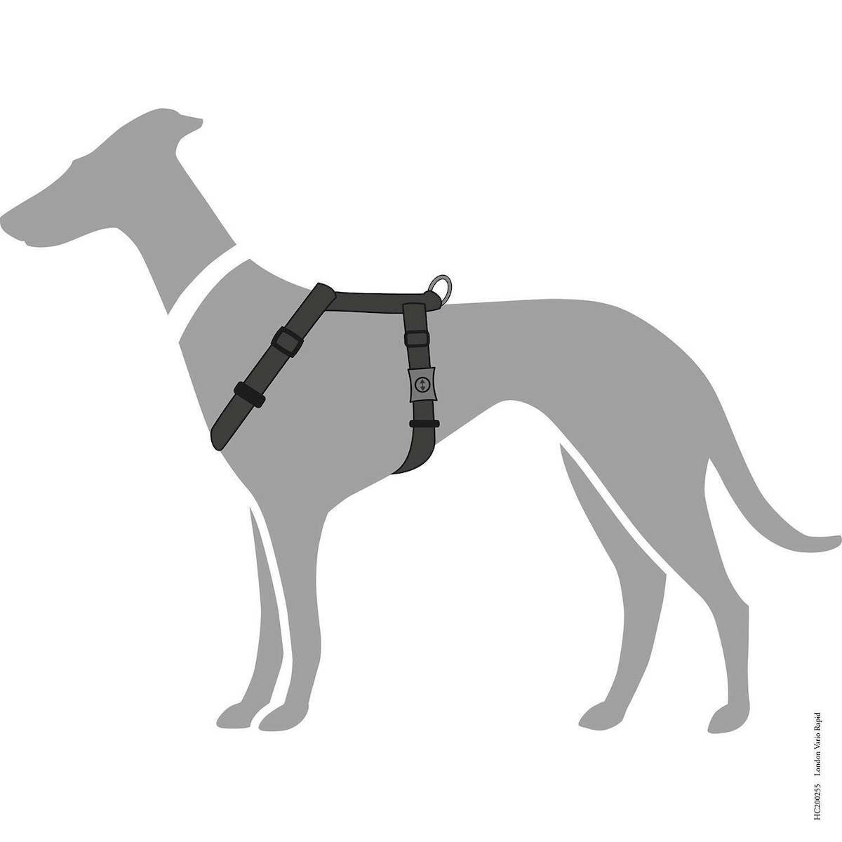 Hunter Σαμαράκι Σκύλου London Vario Rapid Μαύρο XX-Small 32-52cm 013503
